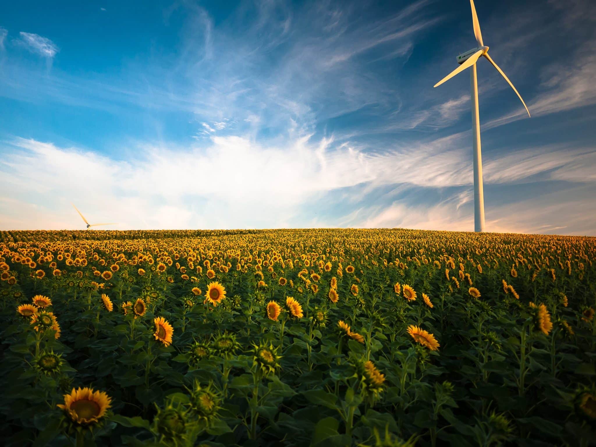 share of electricity production from renewable sources scaled