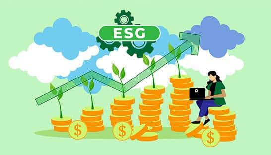 ESG due diligence