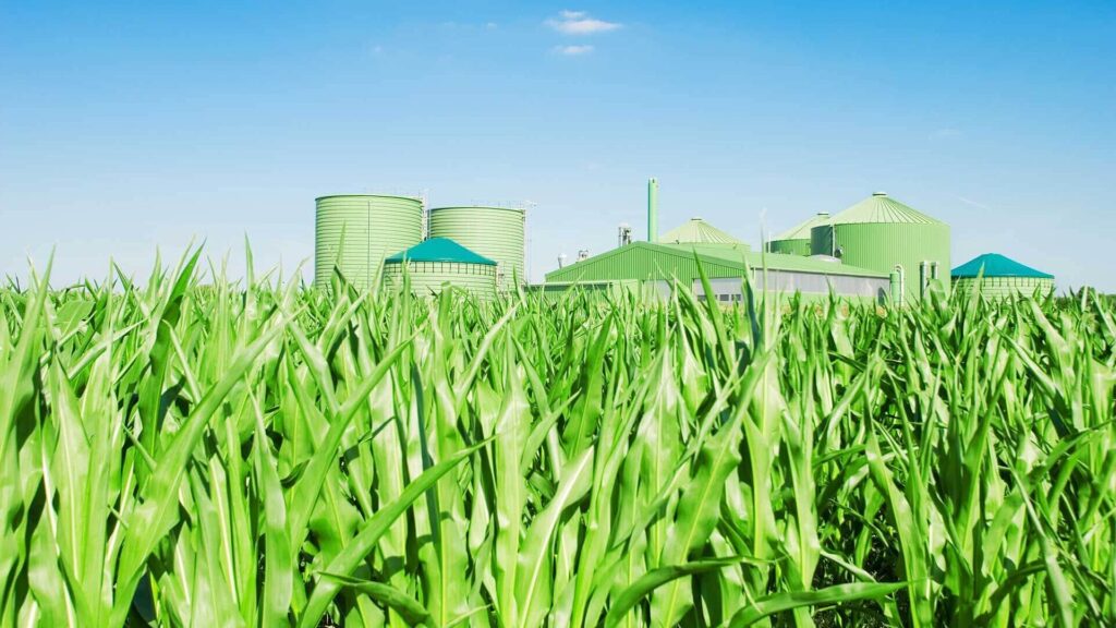 Bioplynová stanice a biomasa