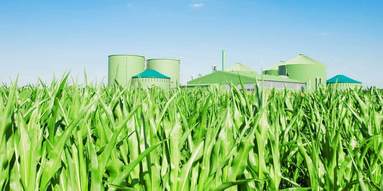 Vláda České republiky apeluje na rozvoj výroby domácího bioplynu a biometanu