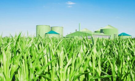 Vláda České republiky apeluje na rozvoj výroby domácího bioplynu a biometanu