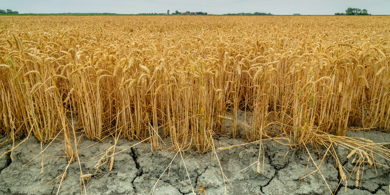 Česko je v boji s klimatickými změnami páté nejhorší v EU