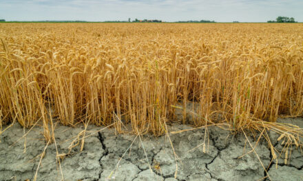 Česko je v boji s klimatickými změnami páté nejhorší v EU