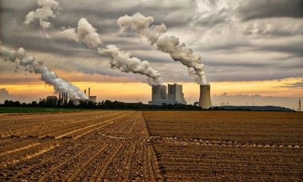 IEA: Globální výroba elektřiny z uhlí letos zřejmě dosáhne rekordního maxima
