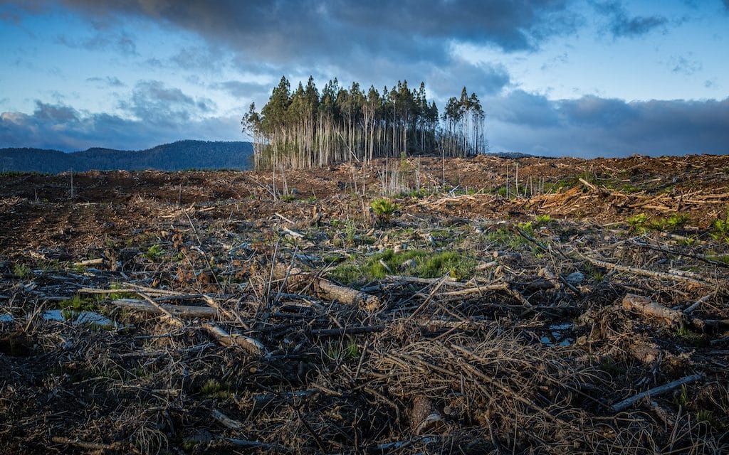 30 znepokojujících čísel z Velké zprávy o klimatu, část druhá