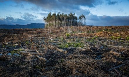 30 znepokojujících čísel z Velké zprávy o klimatu, část druhá