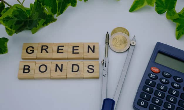 Jak se rodí zelený dluhopis: 4 kroky k jeho vzniku
