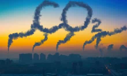 Start-up chce emise CO2 odstraňovat pomocí řas
