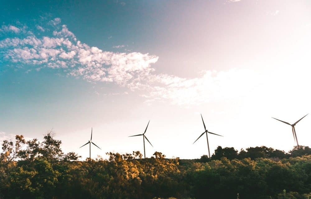 Podpora pro podporované zdroje energie by měla příští rok klesnout o více než polovinu