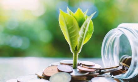 ESG: Zelené fondy táhnou. V čem jsou výhodné a jak je poznat?