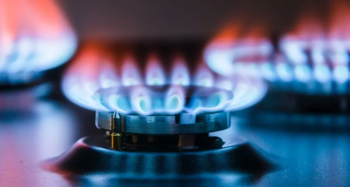 Shrnutí: Letošní první čtvrtletí bylo ve znamení rekordního růstu cen plynu a elektřiny