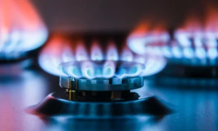 Shrnutí: Letošní první čtvrtletí bylo ve znamení rekordního růstu cen plynu a elektřiny
