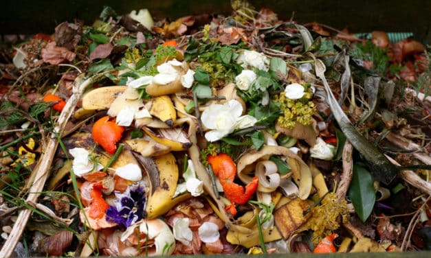 Vědci MENDELU chystají pro sídliště nový systém shromažďování potravinového odpadu