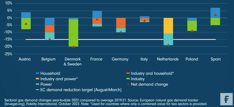 Graf: Nerovnoměrná destrukce poptávky po plynu mezi největšími ekonomikami v EU